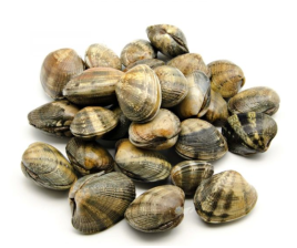 Клемы Вонголе 31/40 в/м 0,5 кг Китай